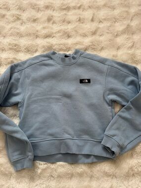 The North Face  Light Blue Crewneck Sweatshirt cropped